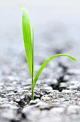 Screenshot_2014-09-10-18-09-01-1