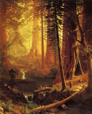 Screenshot_2014-09-11-19-22-28-1