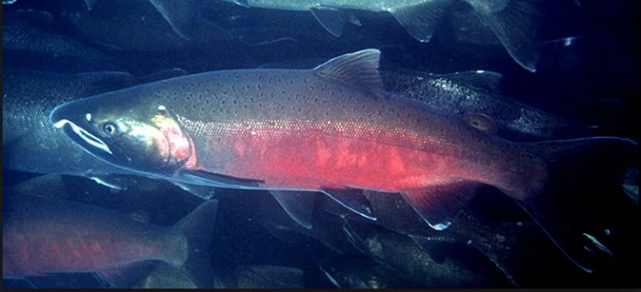 Screenshot_2014-09-11-19-35-49-1