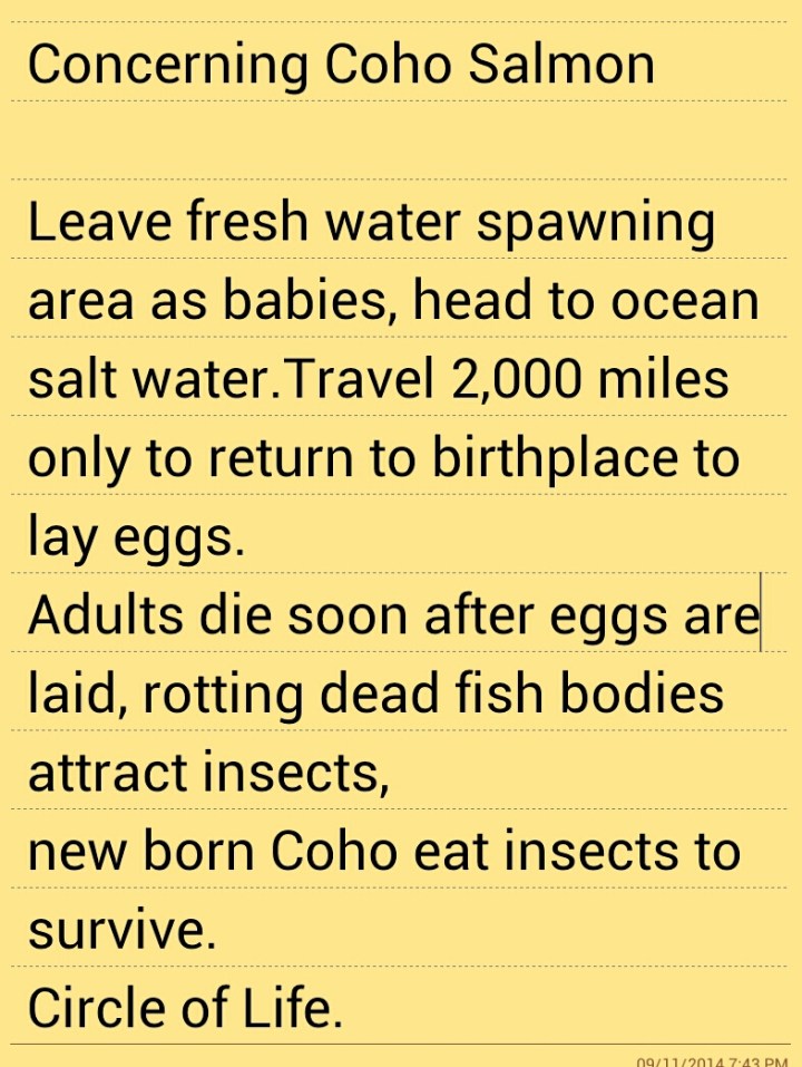 Screenshot_2014-09-11-19-43-58-1