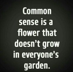 Screenshot_2015-09-27-07-04-44-1-1_resized