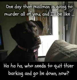 Screenshot_2015-10-20-12-08-00-1_resized