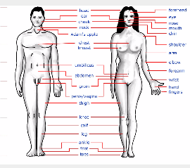 Screenshot_2015-10-21-20-07-39-1_resized