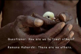 Screenshot_2015-11-05-21-58-15-1_resized